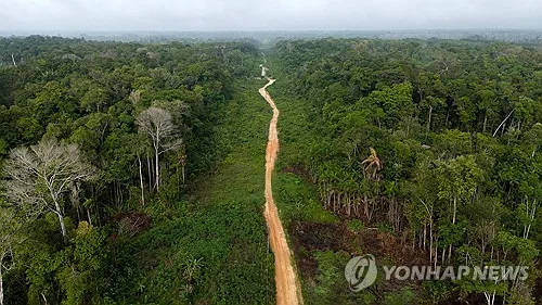 브라질 대선에 '지구의 허파' 아마존 운명 갈린다