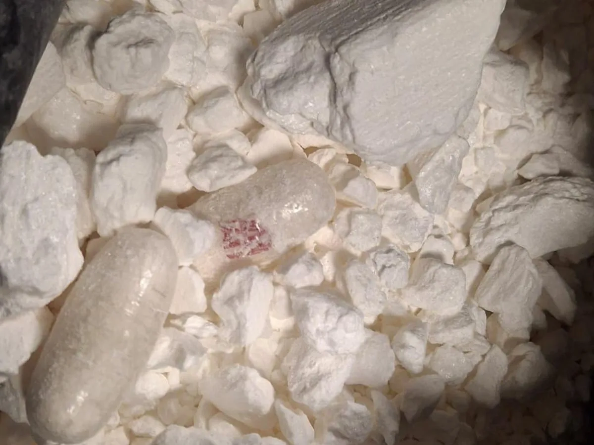 Suspected drug mule arrested at Joburg airport