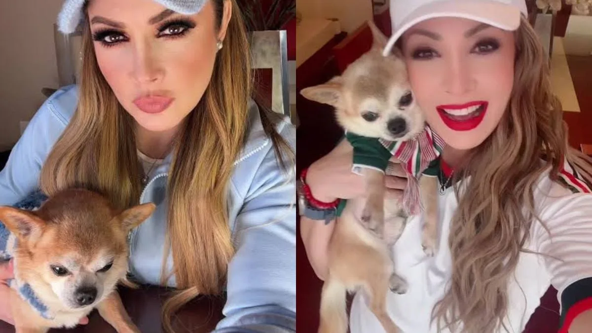 Paty Navidad comparte desgarrador mensaje y confirma la muerte de su perro Bruno
