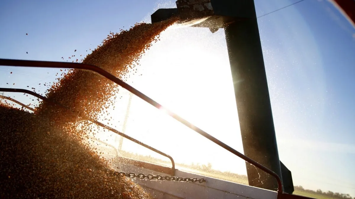 Tras exportaciones del agro con el mejor agosto de la historia, el Gobierno espera recaudar 41% más con las retenciones