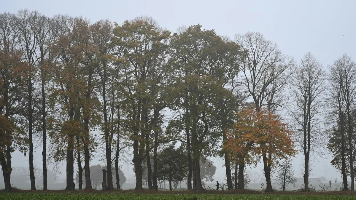 Wetter: Viele Wolken und Regen zum Wochenstart in Niedersachsen