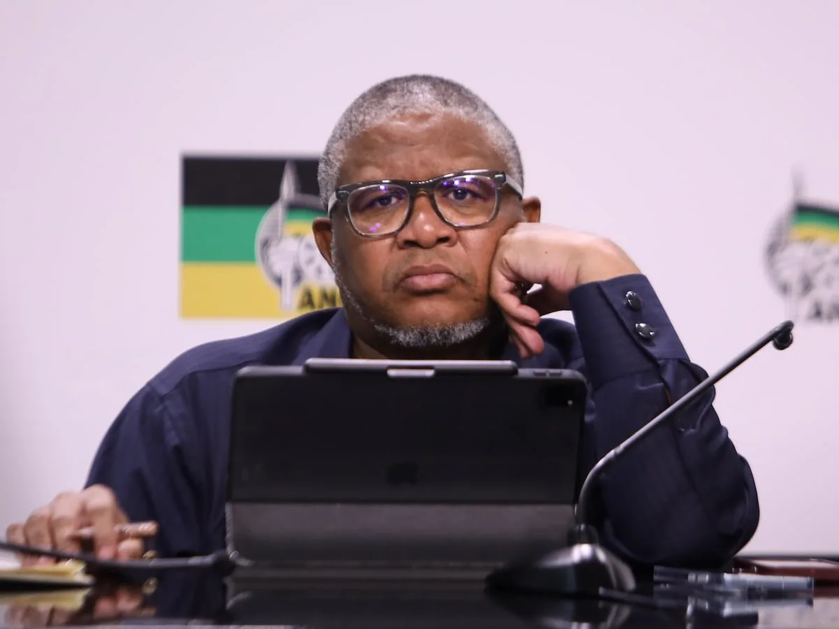 ANC’s ‘mea culpa’ on election candidates debacle