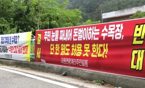 "13년째 잊을만하면…" 옥천 이원면 수목장지 반발 확산