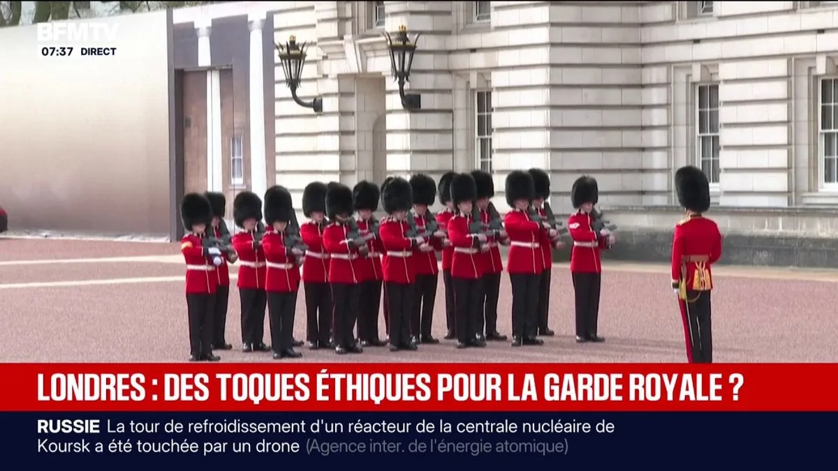 Londres : la tradition des bonnets en peau d’ours de la garde royale contestée