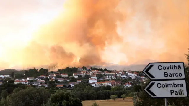 Covilhã foi o município com maior área ardida entre 2020 e 2025