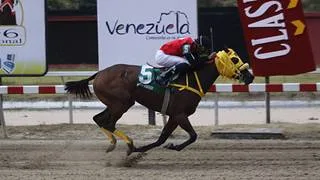 Jockey venezolano con trayectoria en Suramérica y Europa regresa a La Rinconada