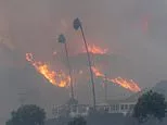 Blackout warnings as furious 'devil winds' up to 80mph target millions in California