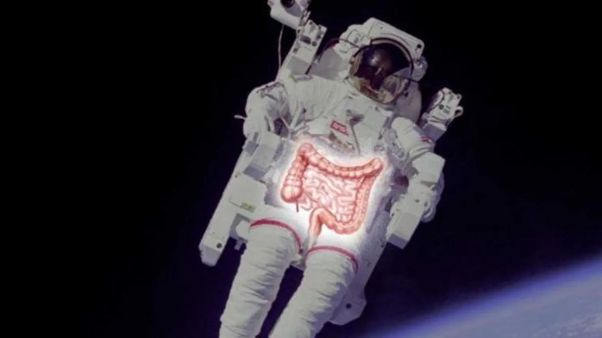 It's harder to poop in space. Scientists may finally know why