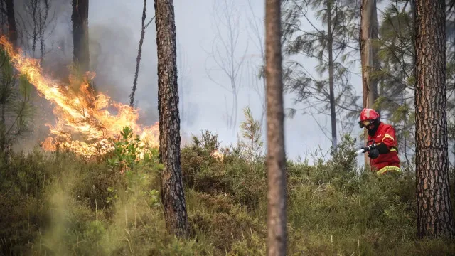 Fogo em Santa Marta de Penaguião tem 133 operacionais no terreno