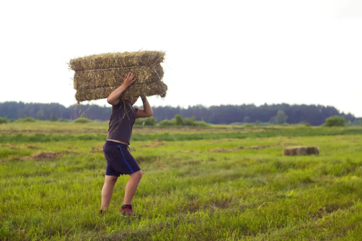 « Un lundi matin au boulot » : ces jeunes agriculteurs qui parodient l’hyrox pour montrer leur métier