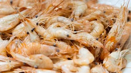 Une ONG appelle la grande distribution à s'engager contre la maltraitance des crevettes d'élevage