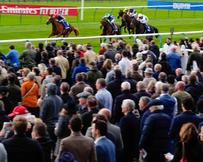 Future Champions Festival: news, tips and more – horse racing live