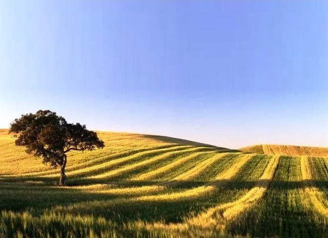 Alentejo 2030 disponibiliza 1,89 milhões de euros para requalificar rede do pré-escolar