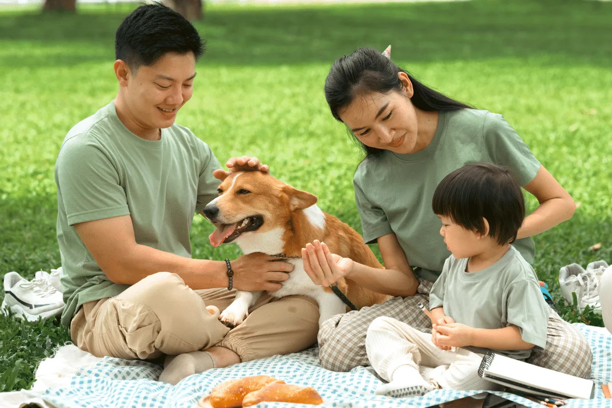 Dia Mundial do Cachorro: ciência comprova que cães protegem a imunidade de bebês e reduzem estresse em adultos