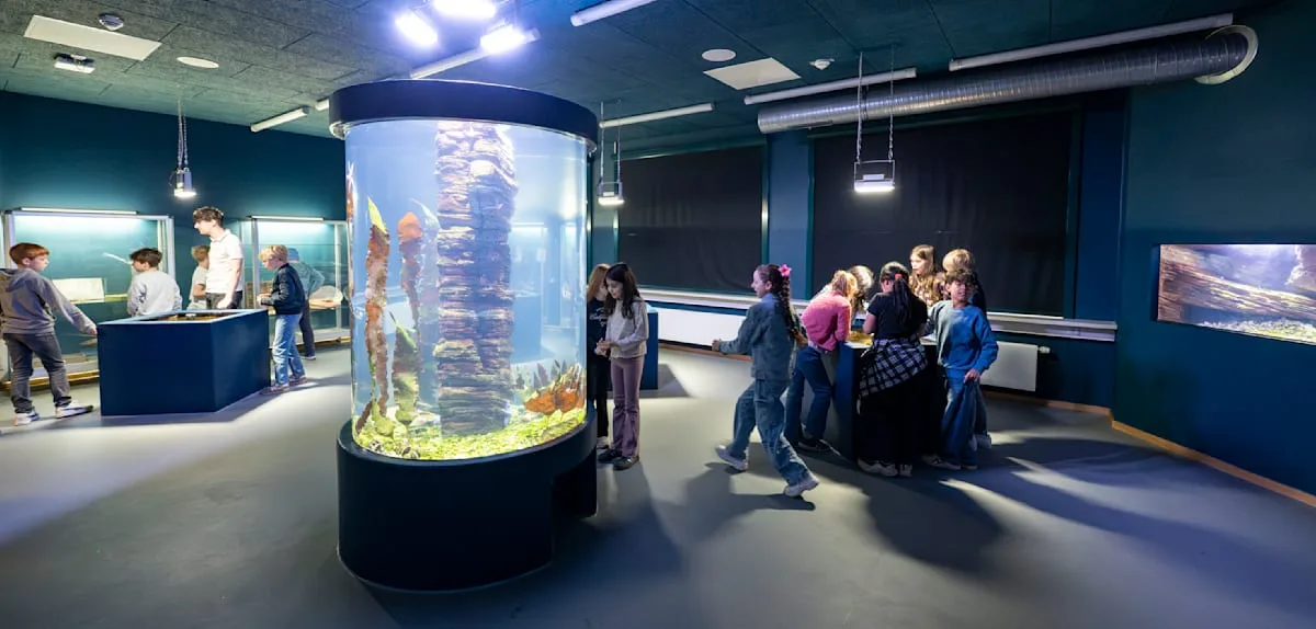 Lernen mit Schafen und Axolotl – Hamburgs neues Ökotarium eröffnet