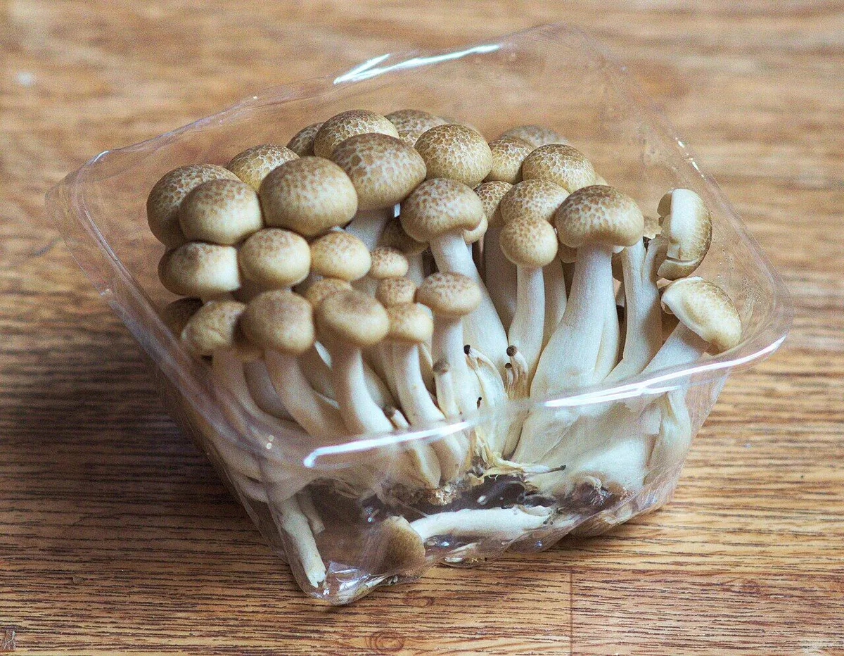 Uma molécula de cogumelo torna o sal 71% mais salgado