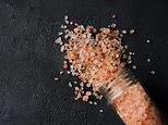The truth about the 'pink salt' hydration craze... experts reveal if adding mineral salt to your morning water is really worth the hype