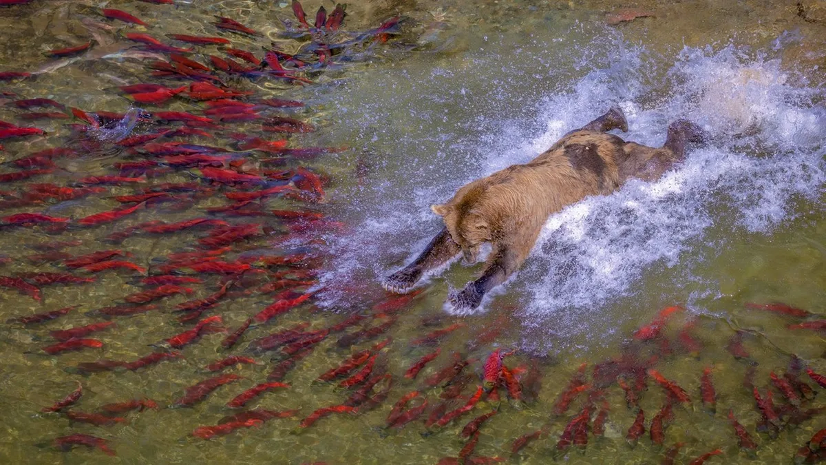 Fotowettbewerb: Alle Farben dieser Erde: Die besten Bilder des reFocus Color Photography Contest