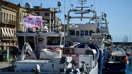 "Pas de justification de rester en place" : les blocus de ports méditerranéens pour protester contre les prix du carburant ont tous été levés