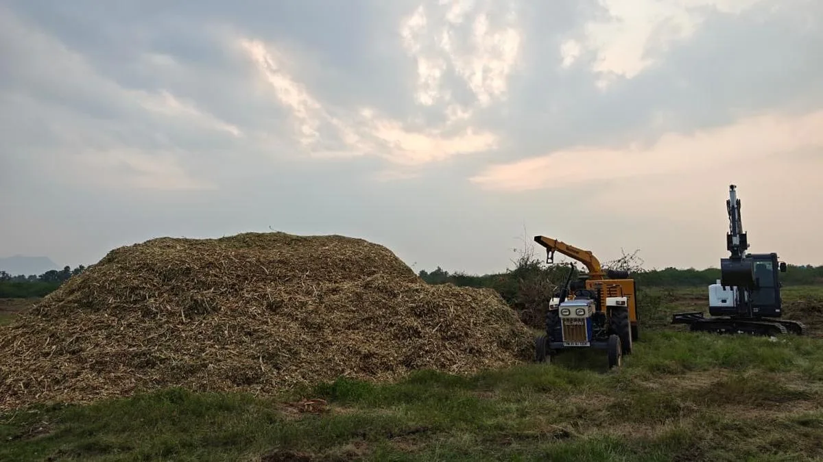 WRD begins removal of invasive plants from irrigation tanks along Palar River in Vellore