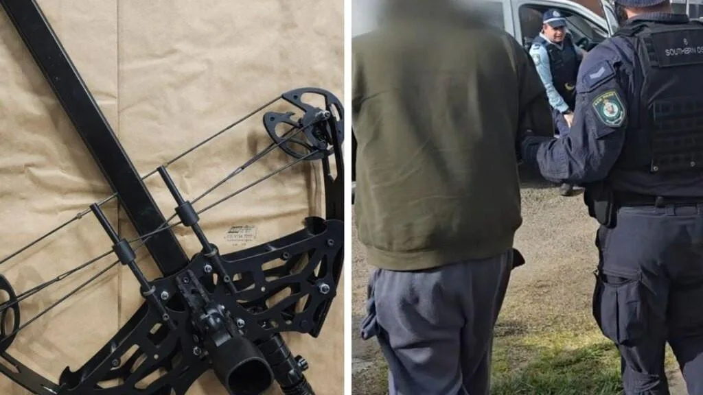 More than 100 guns confiscated in NSW domestic violence crackdown