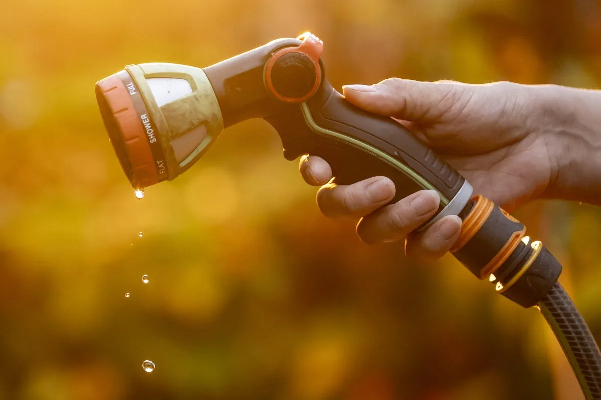 Hosepipe ban map: Legal restrictions in place for 27 million as Wessex Water becomes latest supplier to crack down