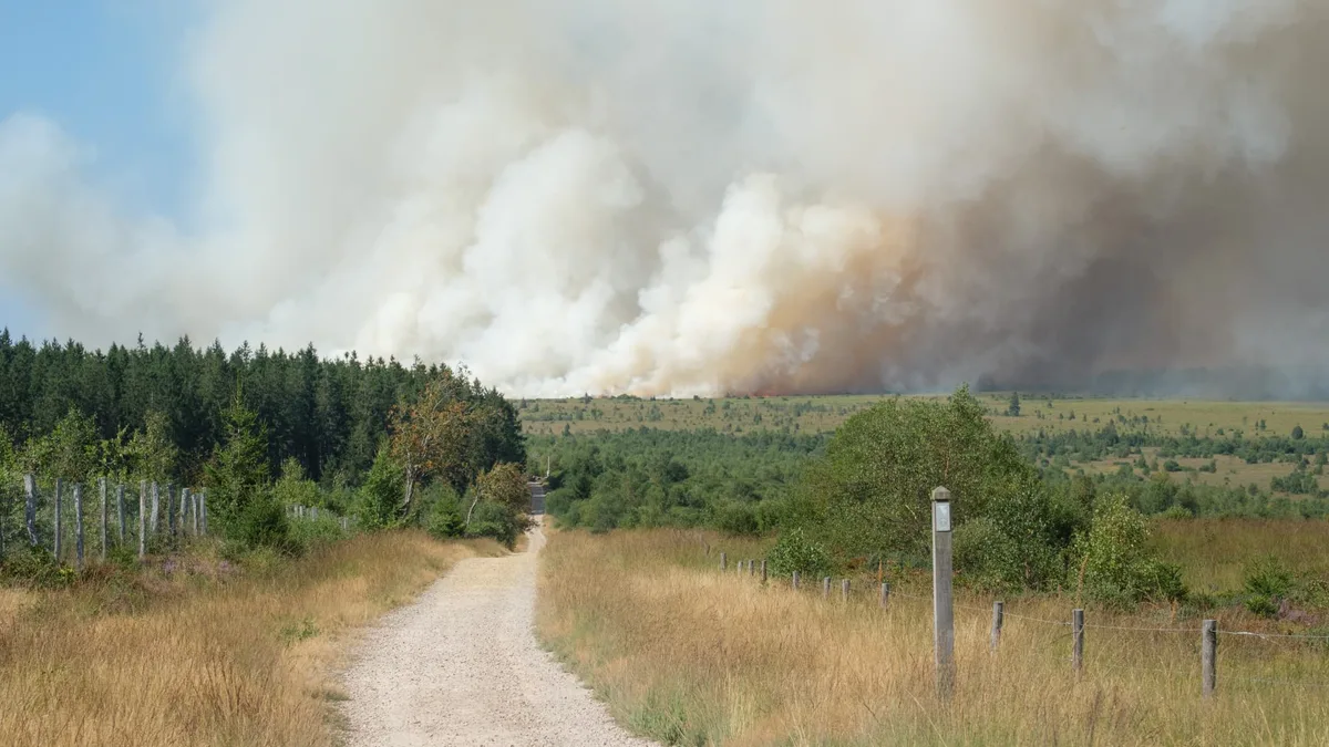 1.650 hectares brûlés dans un incendie en Belgique, des évacuations menées dans plusieurs villages