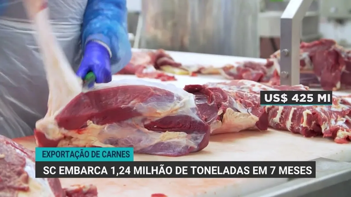 Santa Catarina registra recorde de 1,24 milhão de toneladas em exportações de carnes