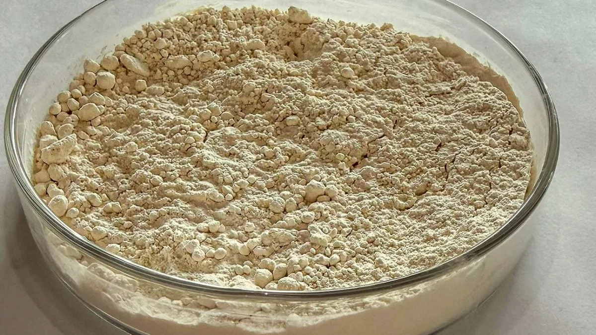 Pesquisadores transformam grãos de feijão em ingrediente proteico