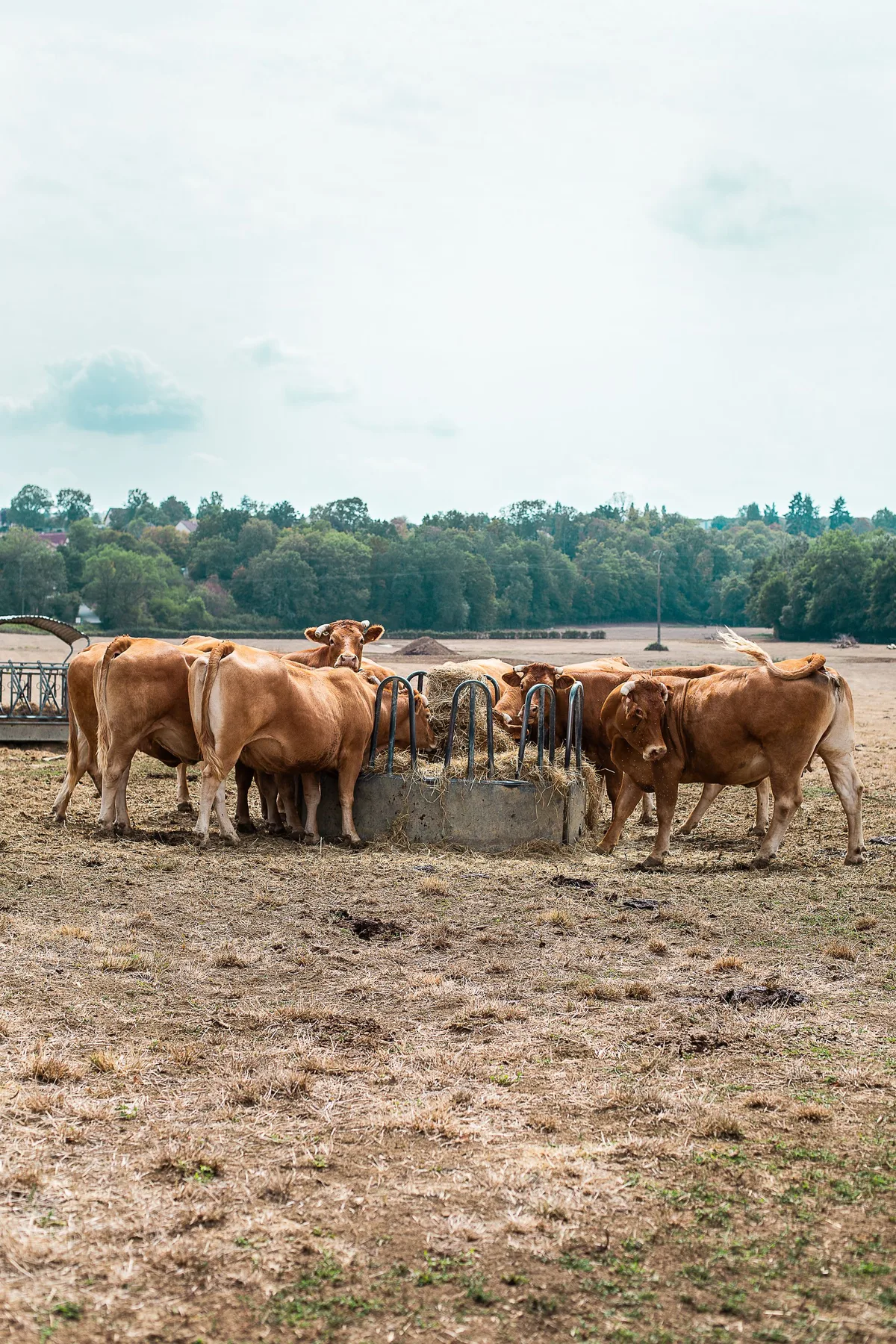 Zones humides et monde agricole, une impossible réconciliation ?