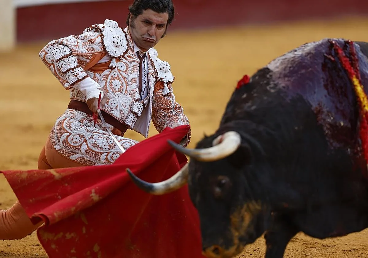Toros con Morante de la Puebla, Roca Rey y David de Miranda, en directo: última hora desde Málaga hoy