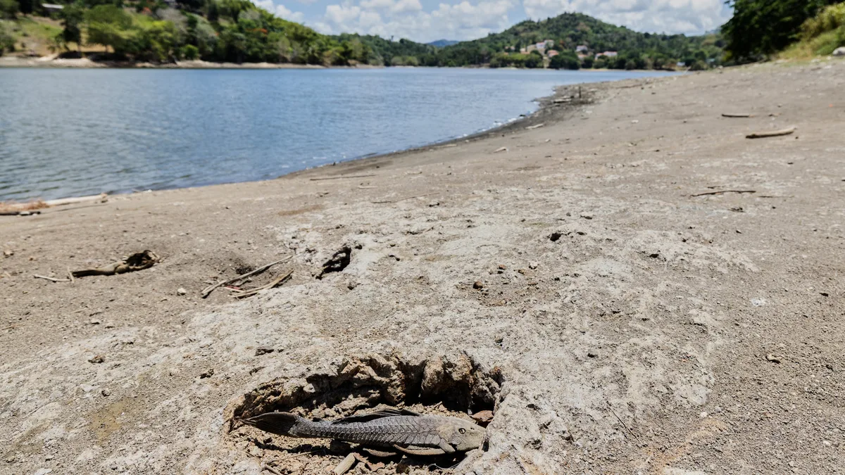 Estados Unidos decreta zona de desastre en 26 municipios de Puerto Rico ante una sequía histórica