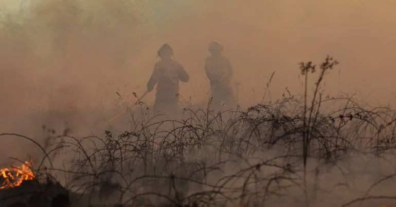Mais de 20 concelhos em risco muito elevado de incêndio