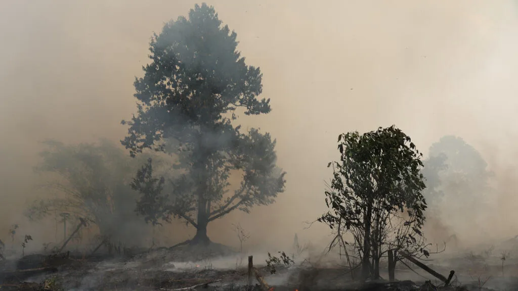 L'Indonésie va déployer des centaines de soldats pour lutter contre les incendies à Bornéo