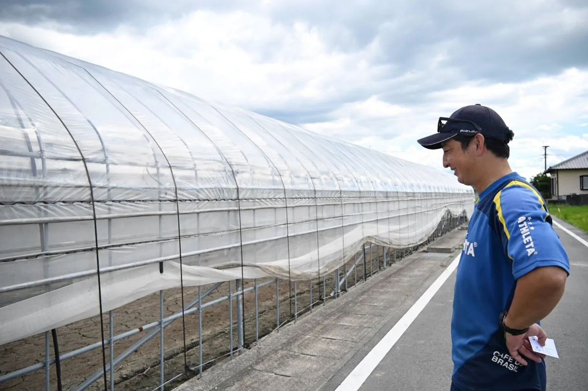 Japan’s top tomato production hub damaged following Kumamoto earthquake