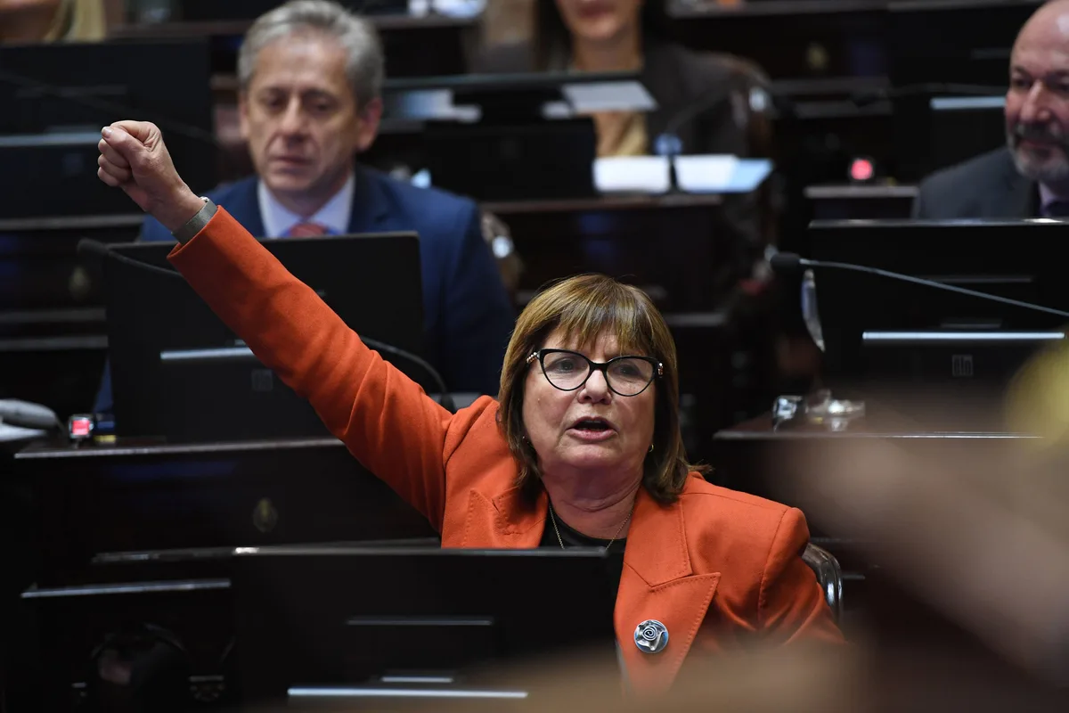 Bullrich adelantó que el Senado retomará el debate por la reforma electoral: "Suspender o eliminar las PASO es parecido"