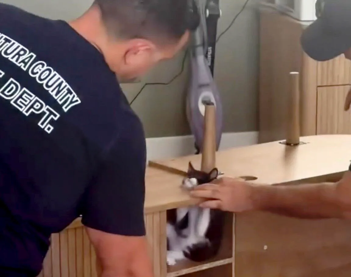California firefighters, a trapped kitten and a collective 'aww' from the internet