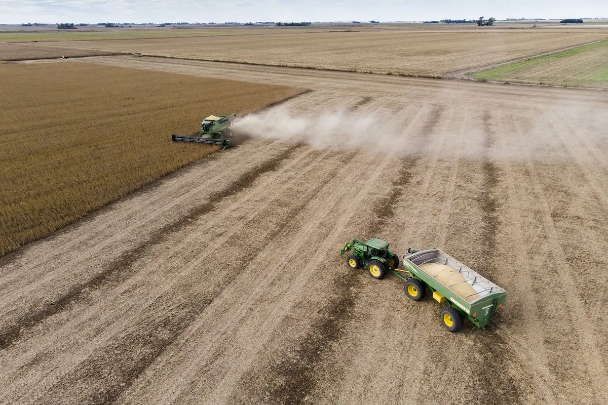 Inversión: qué hay que mirar detrás de la rentabilidad en la compra de un campo