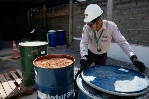 Viridis capta até US$ 120 mi para projeto de terras raras em Minas Gerais