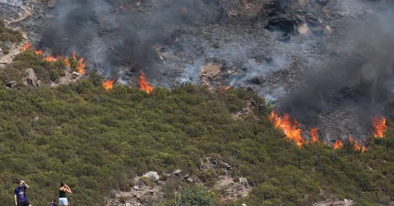Arouca: fogo de agosto fez 1.454 hectares de estragos