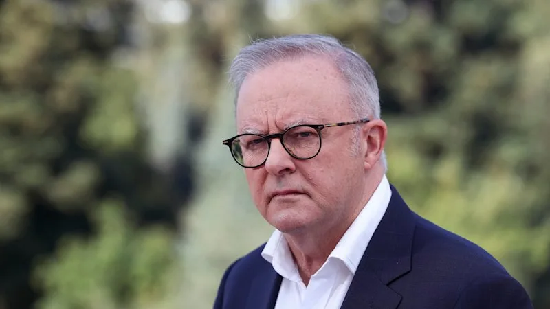 Australia joins call for AI safeguards amid warnings of out-of-control risks
