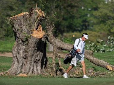 Judge explodes at Trump admin lawyers after trees felled at DC golf course