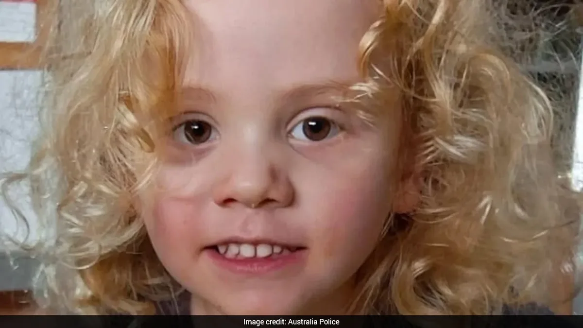 $1 Million Reward, 11 Searches: What Happened To 4-Year-Old Gus Lamont?