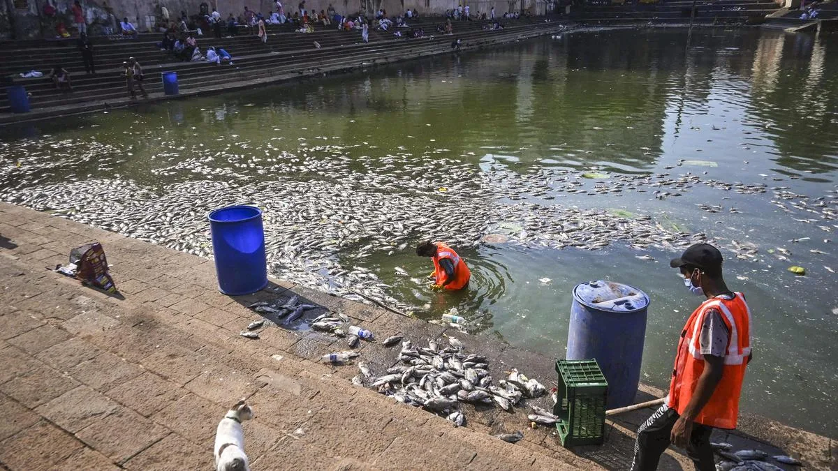 BMC calls for meeting with residents over death of fishes in Banganga tank