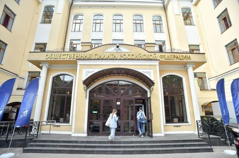 В Общественной палате заявили, что кибератаки на систему ДЭГ не имеют результата