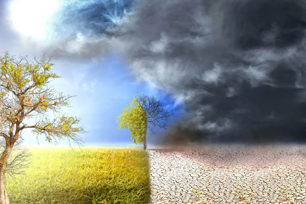 El Niño: chance de fenômeno forte nos próximos meses salta para 95%