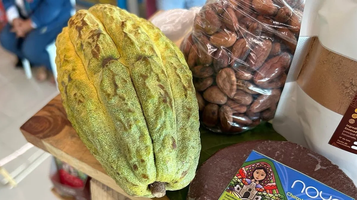 El Salvador importó cuatro veces más cacao del que exportó y acumuló un déficit de USD 21.1 millones