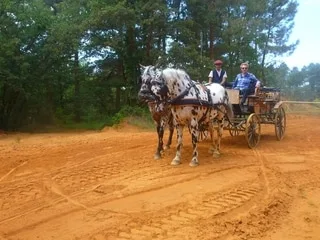 « Échappées belles » : à pied, à cheval, à vélo ou en ballon, France 5 prouve que le Luberon se visite en toute saison