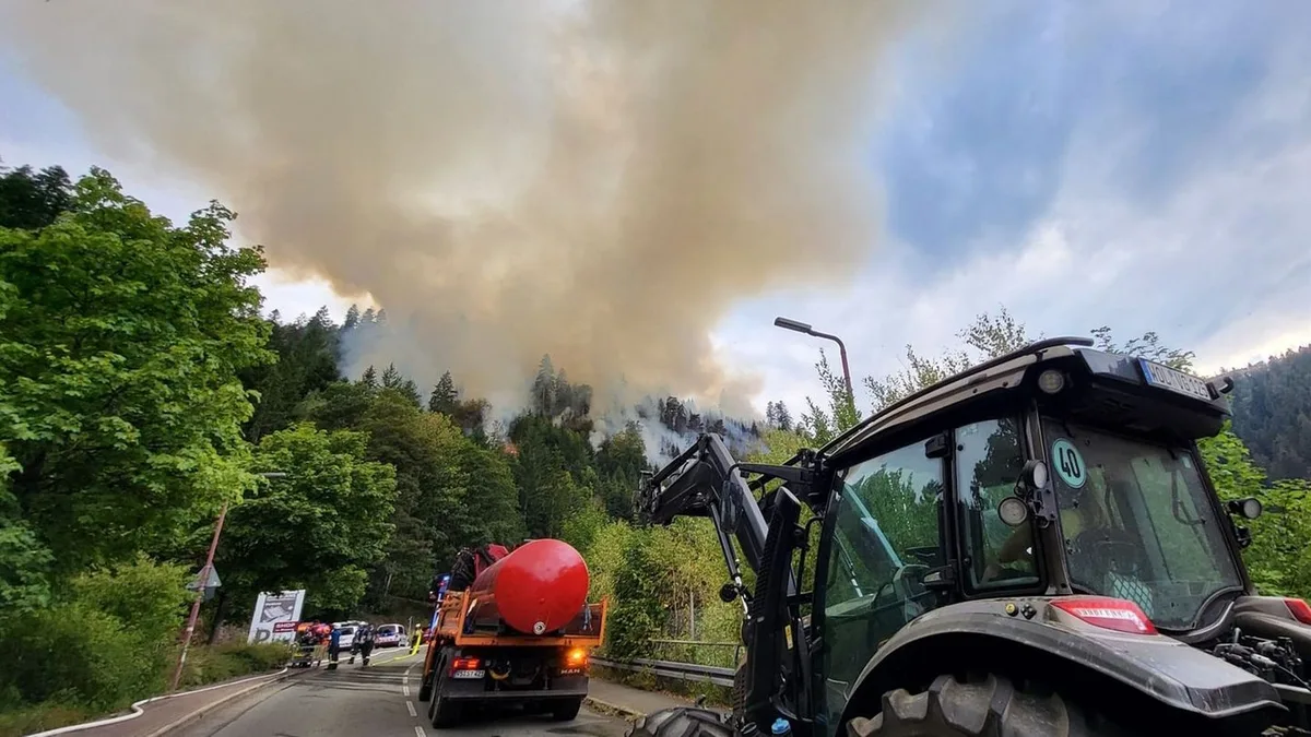 Brände: Großeinsatz bei Schramberg - Feuer breitet sich rasant aus