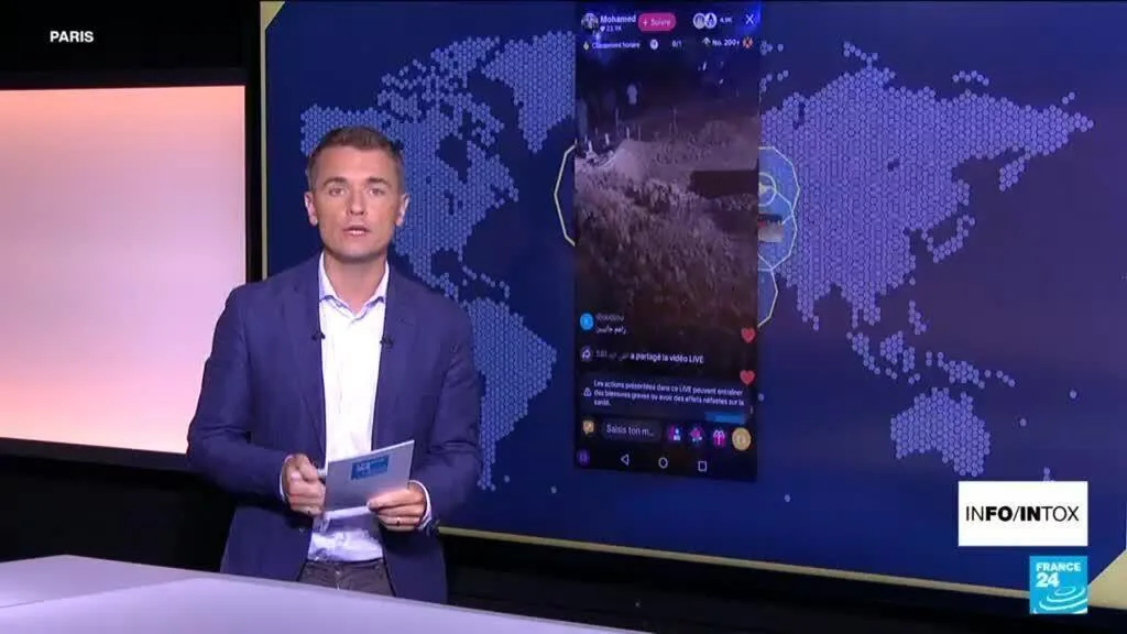 Incendies en Algérie : un bilan contesté